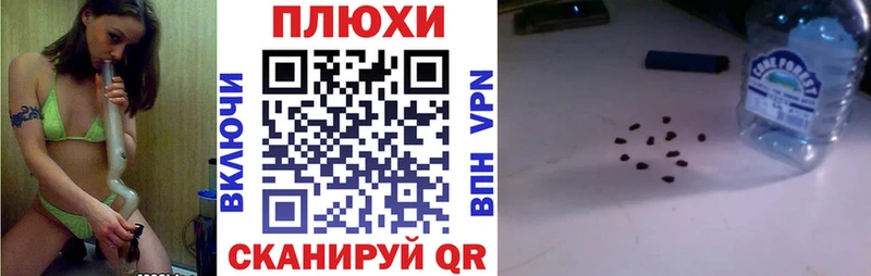 ГАШ убойный  Торопец 