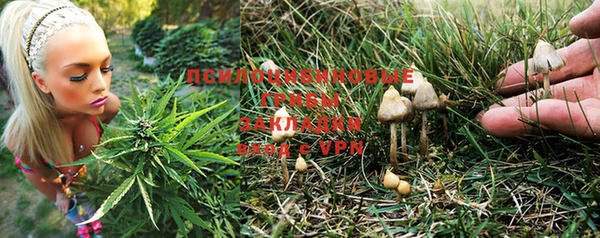 мет Лагань